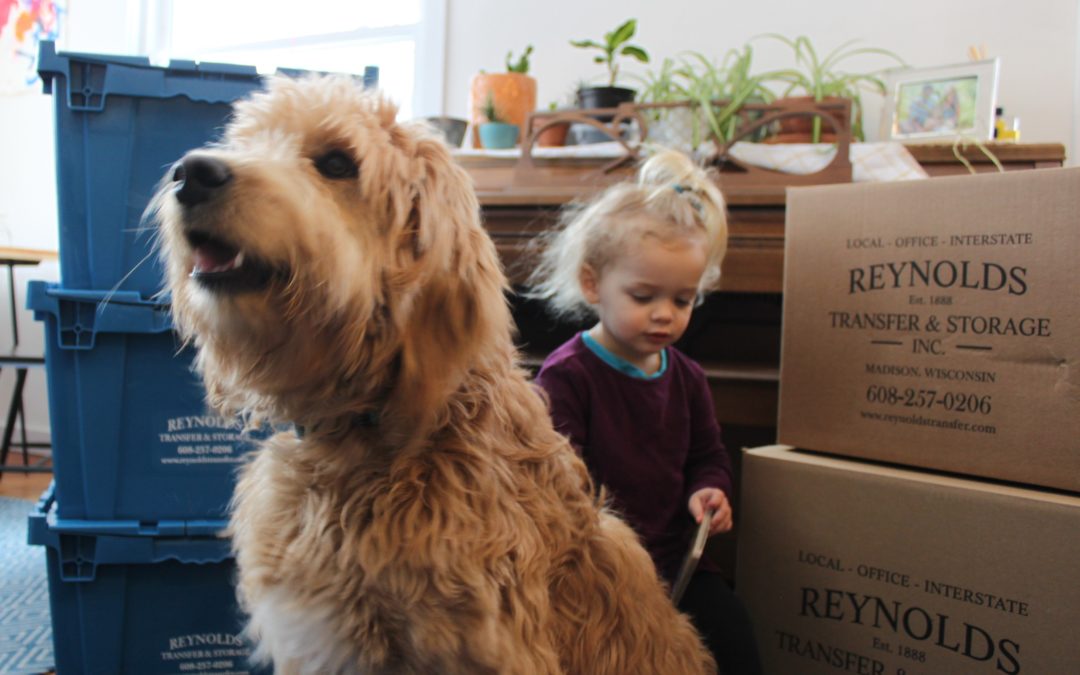 A dog with a little girl in front of moving boxes with plants in background